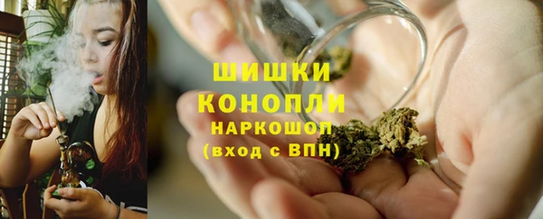 хмурый Новозыбков