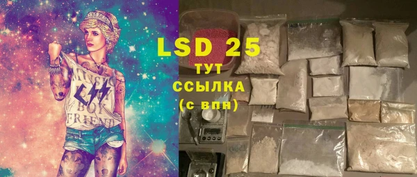 хмурый Новозыбков