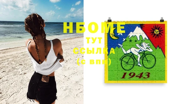 хмурый Новозыбков