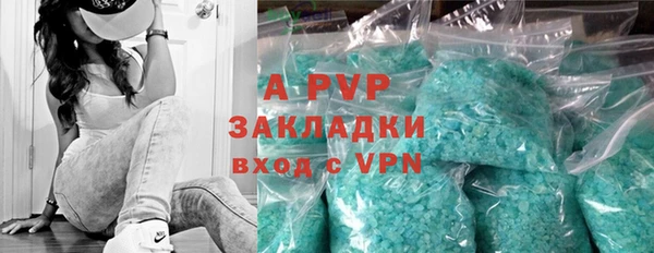хмурый Новозыбков